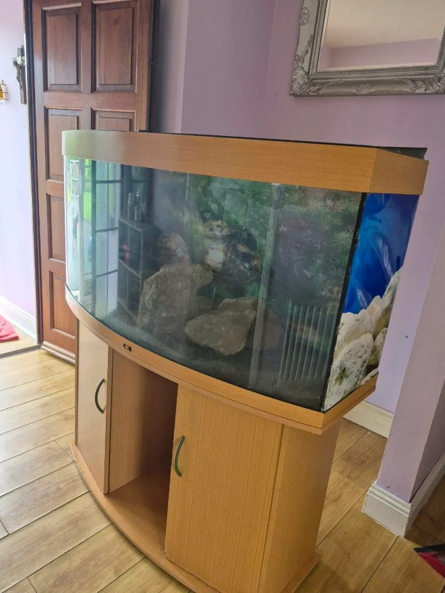 Fish tank 300litre - Image 2