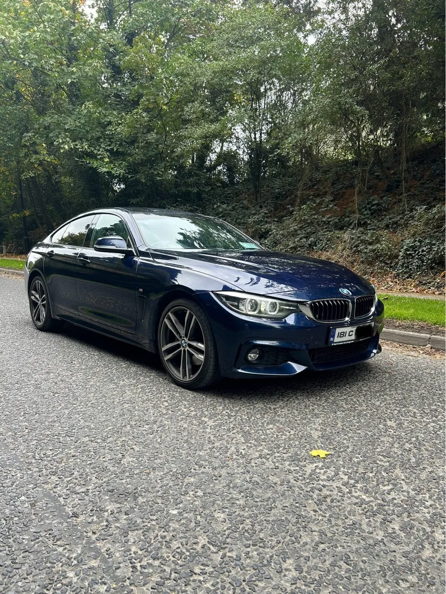BMW 420d - Image 1