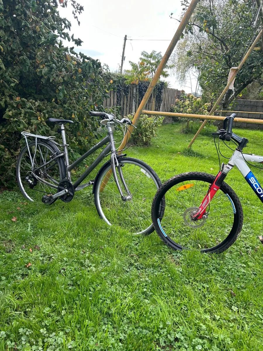 Bicycles 150 for the two - Image 2