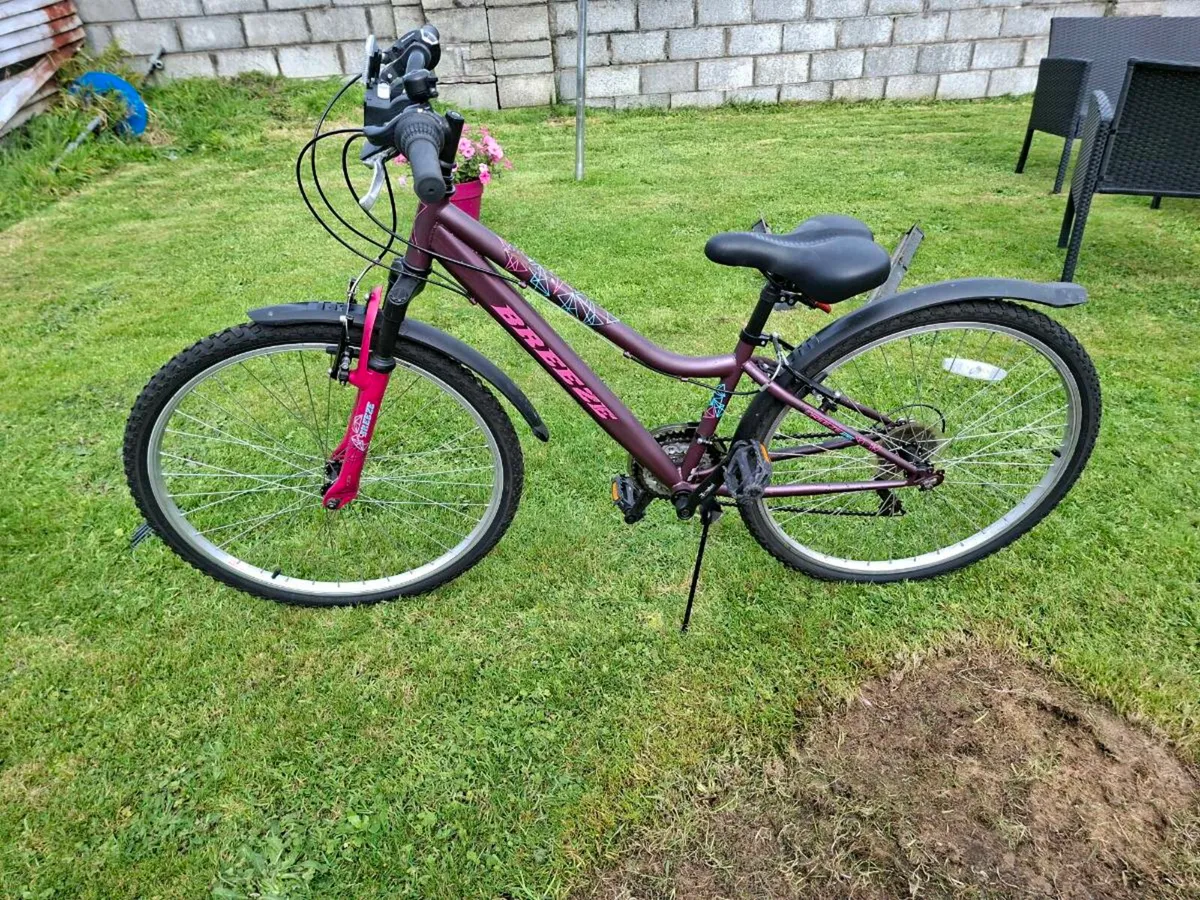 Ladies bike teen/small adult - Image 1