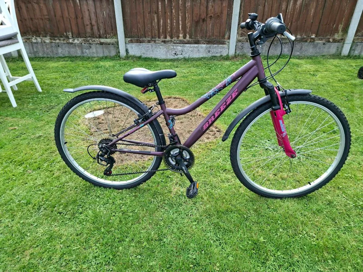 Ladies bike teen/small adult - Image 2