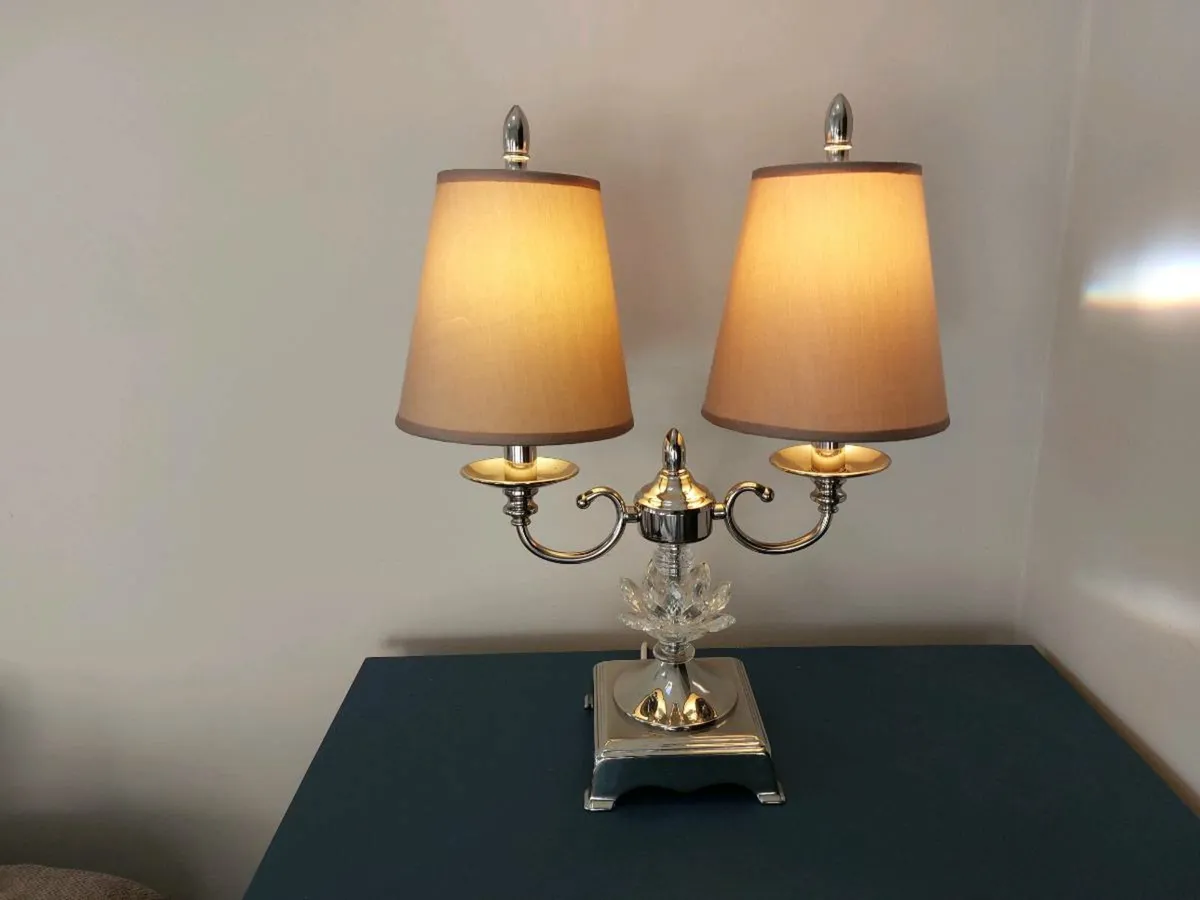 Light - Image 2