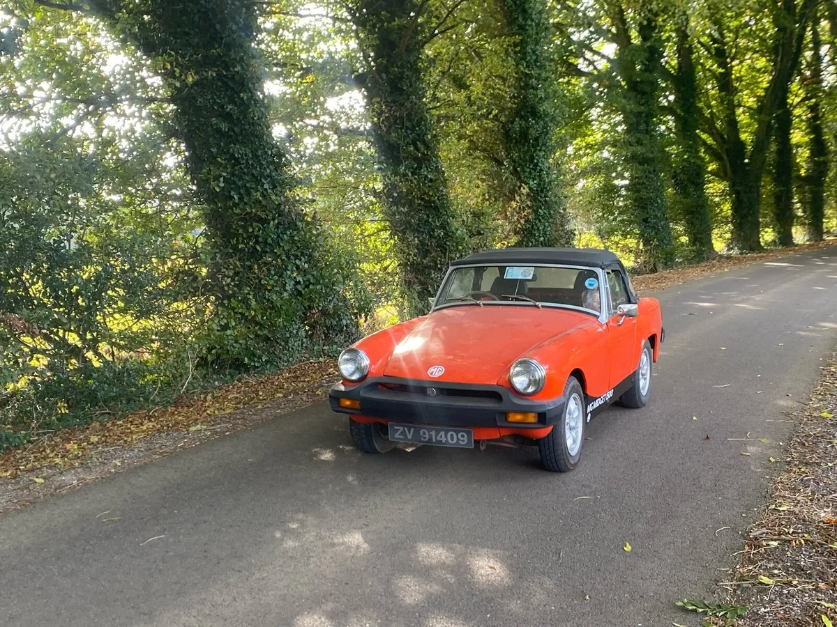 MG midget - Image 2