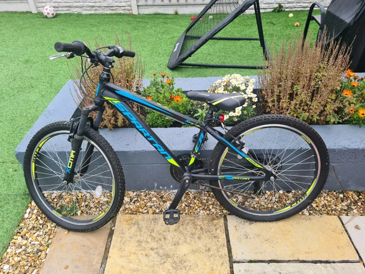 Kids Mountain Bike - Image 2