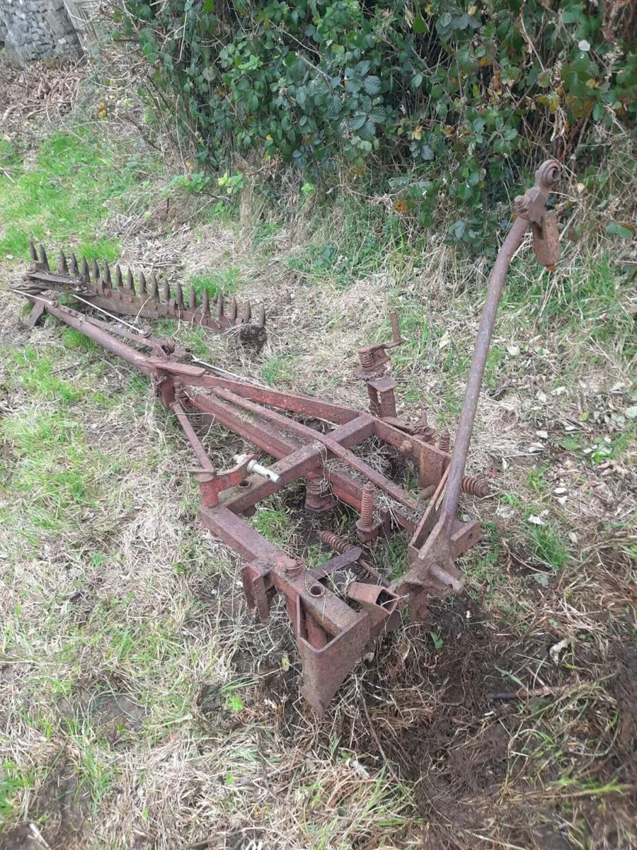 Teagle hedgecutter ferguson grubber Harrow - Image 1