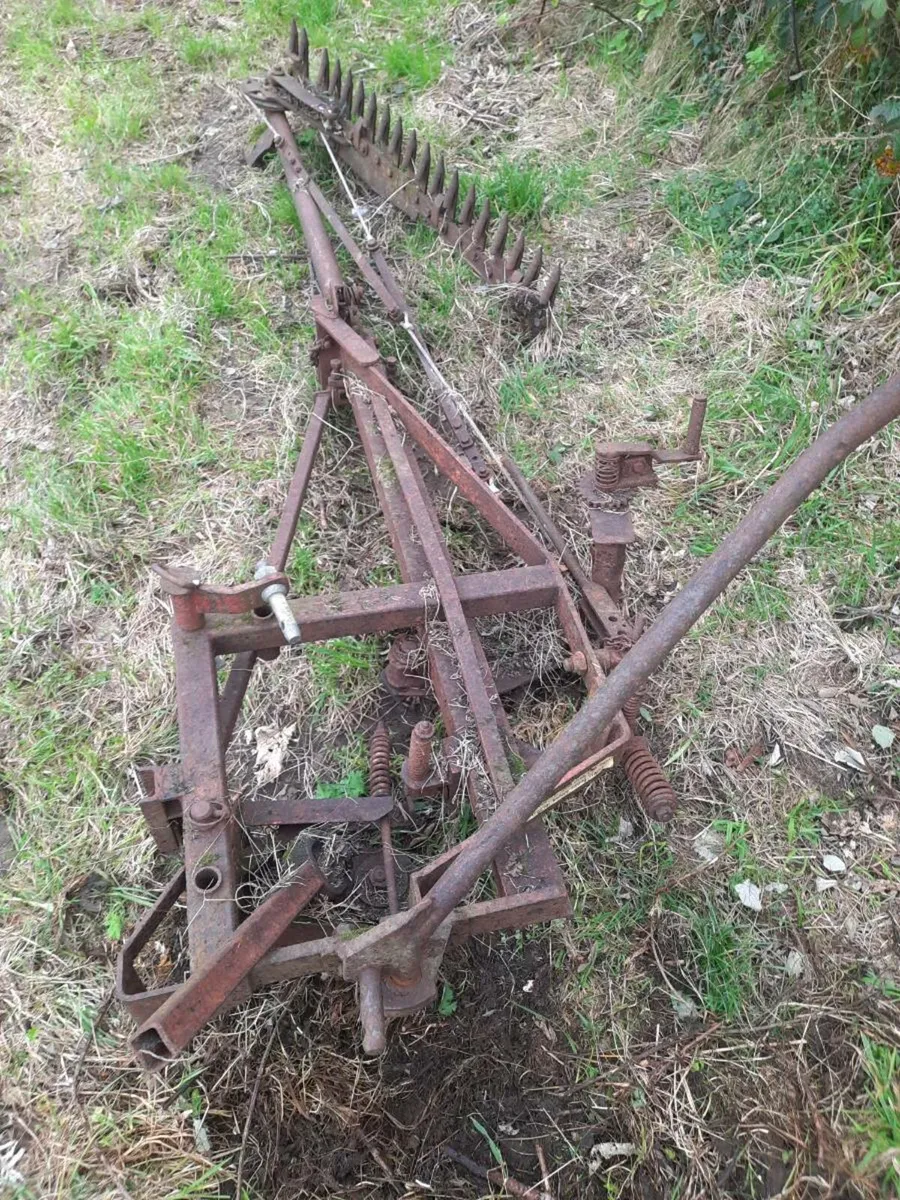 Teagle hedgecutter ferguson grubber Harrow - Image 3