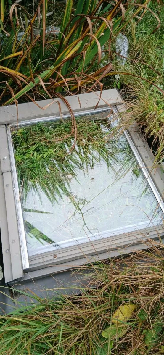 Velux Window