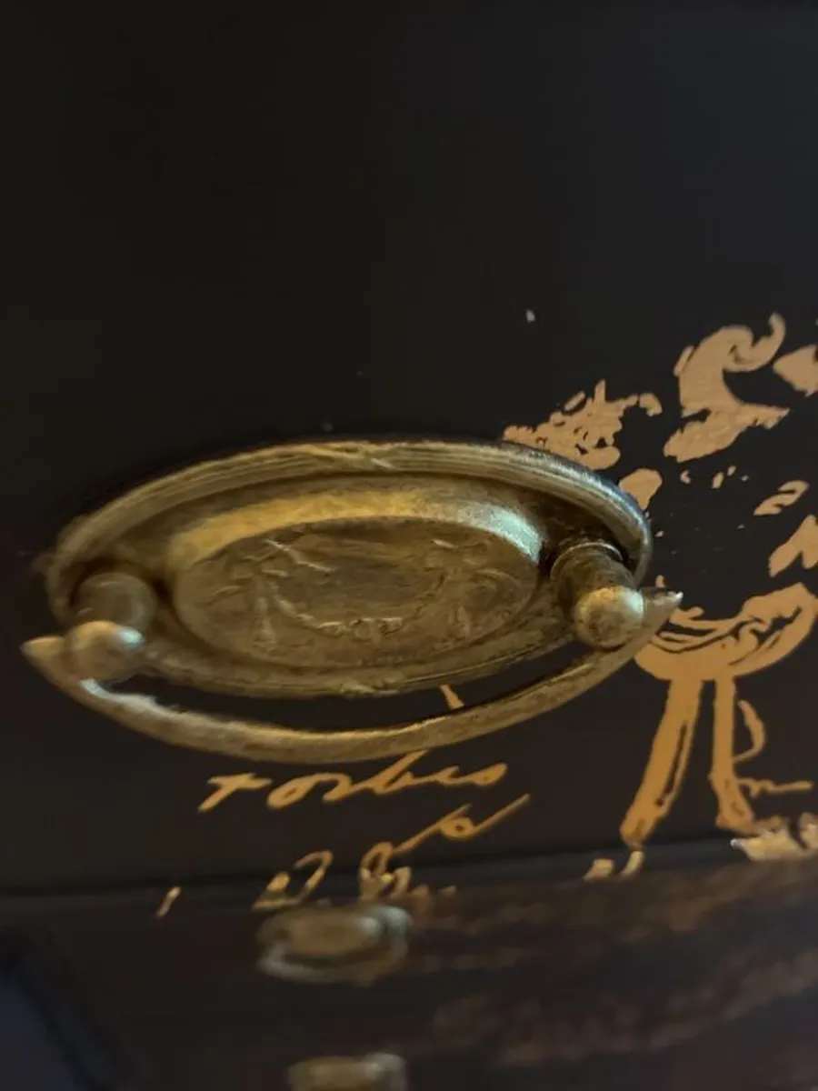 chest - Image 4