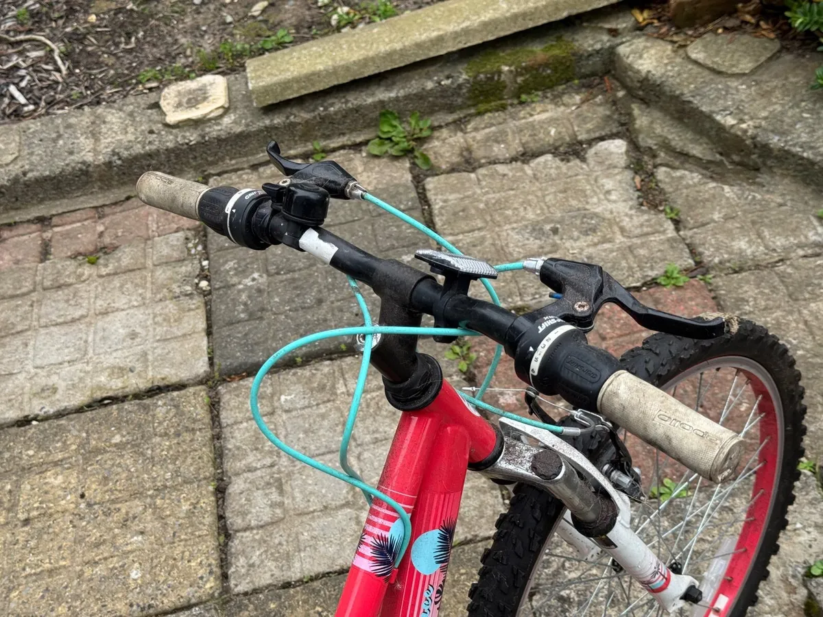 Old bicycles - Image 4