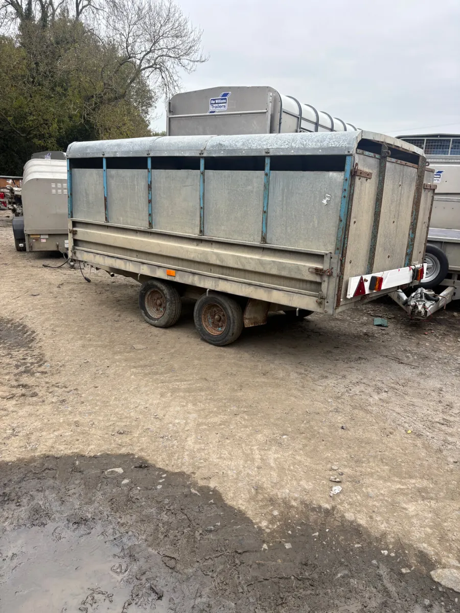 10ft young stock trailer - Image 2