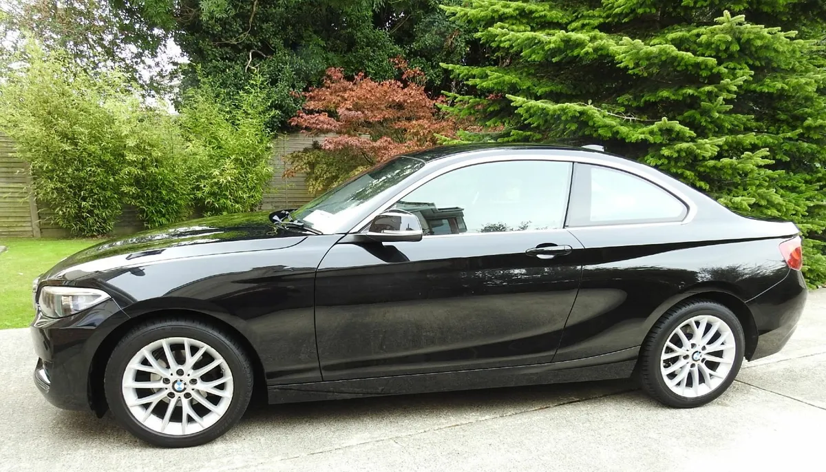 BMW 2-Series Coupe  2016 (1.5 Petrol) - Image 4