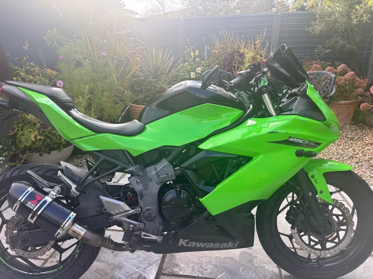 Kawasaki ninja 250sl - Image 2