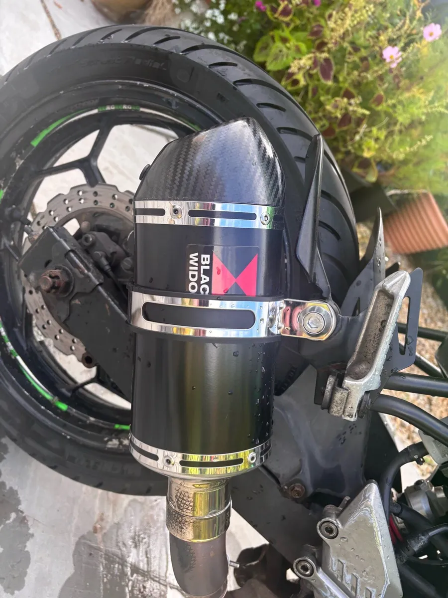Kawasaki ninja 250sl - Image 4