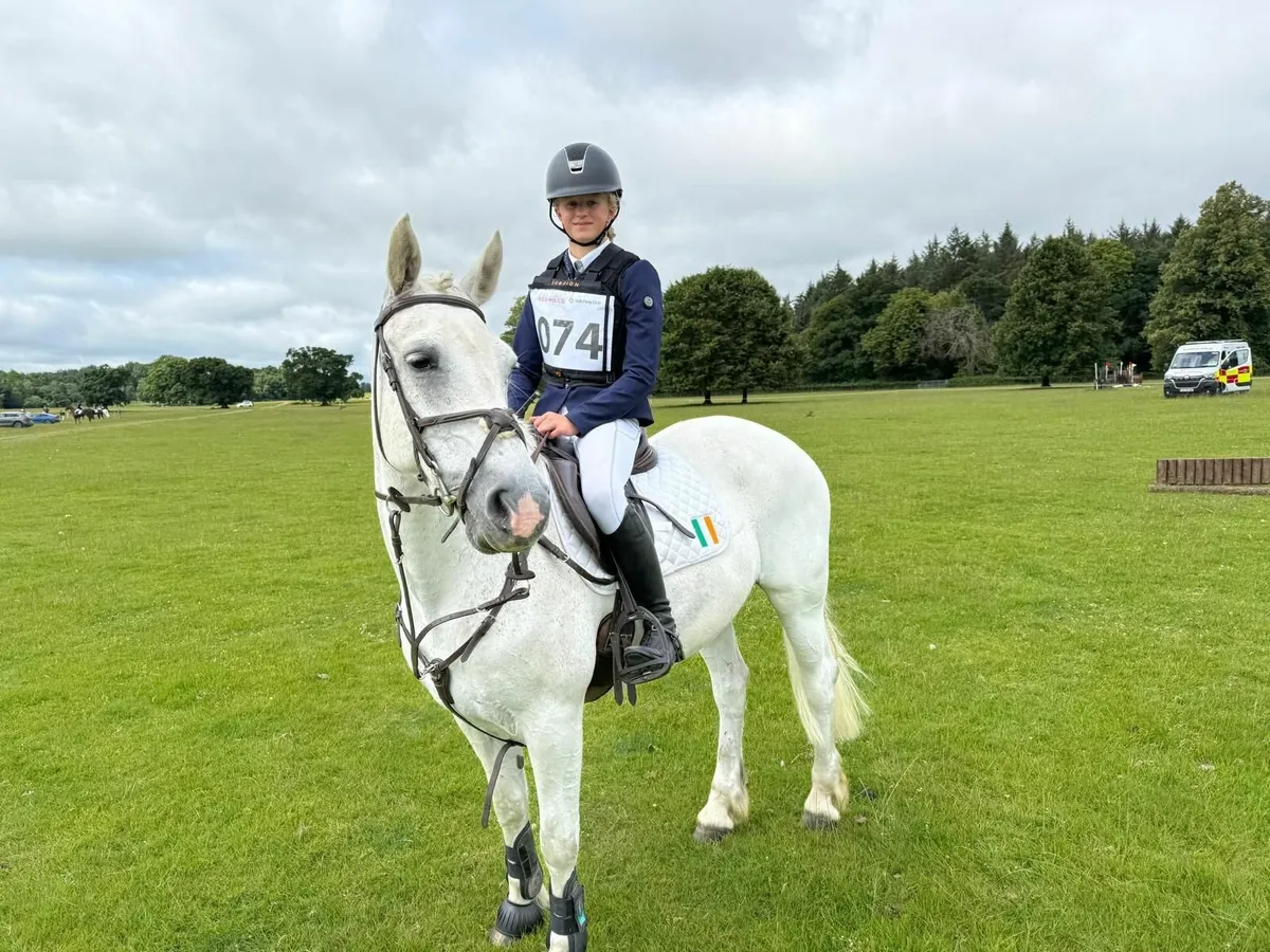 🌟 Super Eventing Pony 🌟 - Image 3