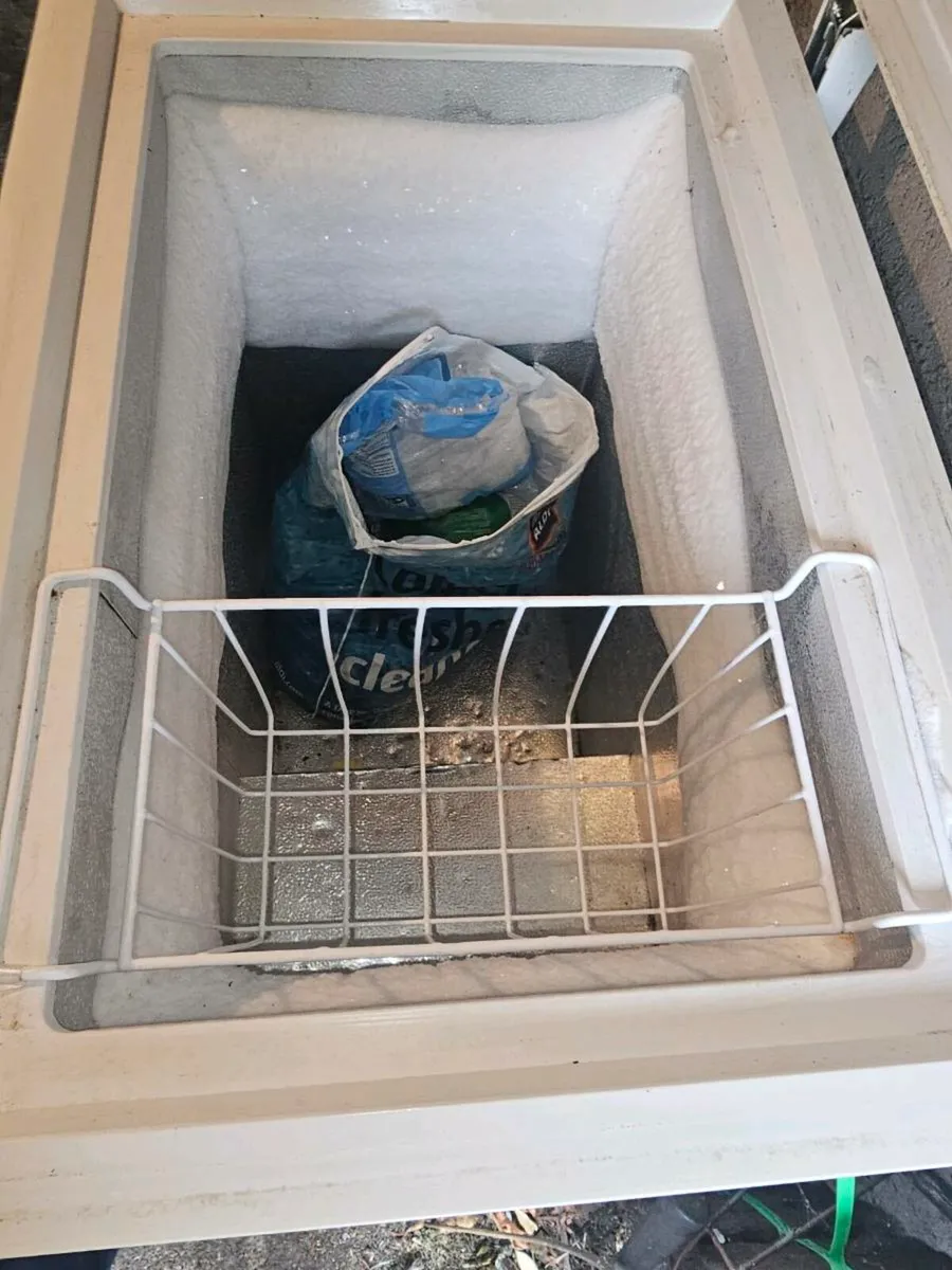 Freezer - Image 2
