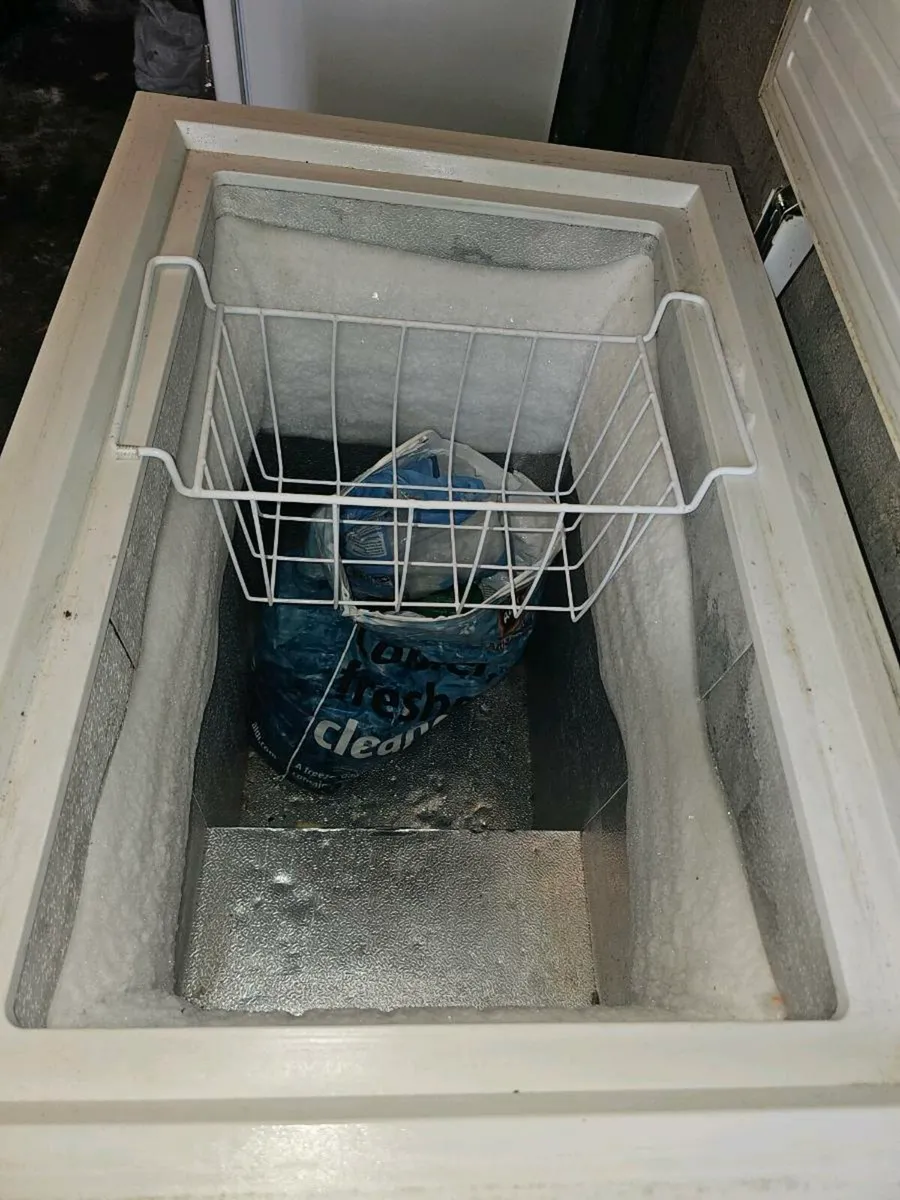 Freezer - Image 3