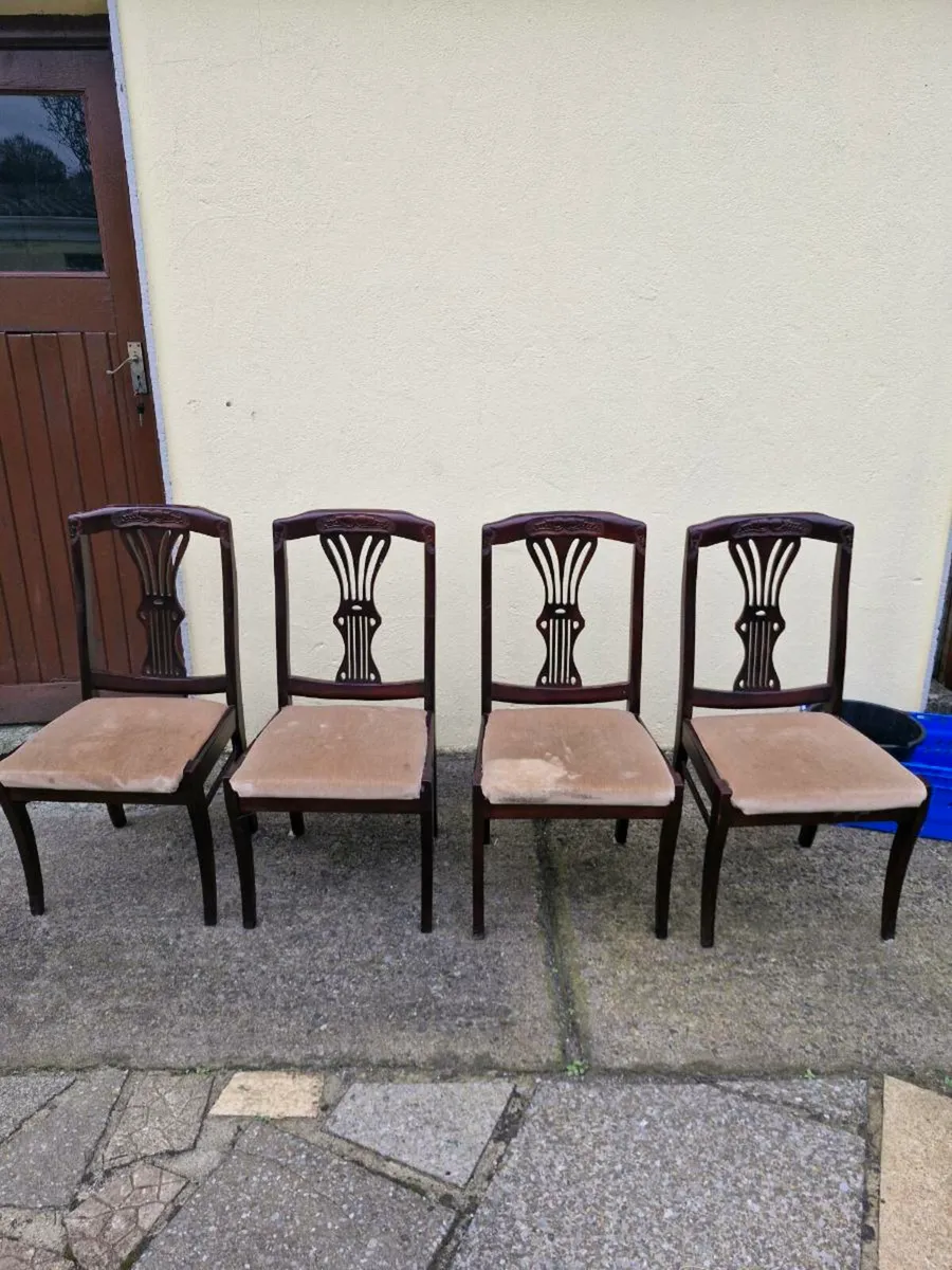 Dining Chairs - Image 1