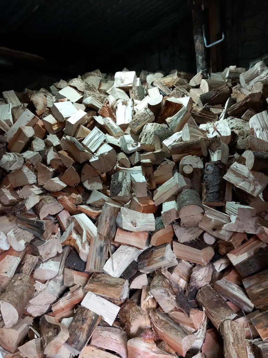 Firewood - Image 1