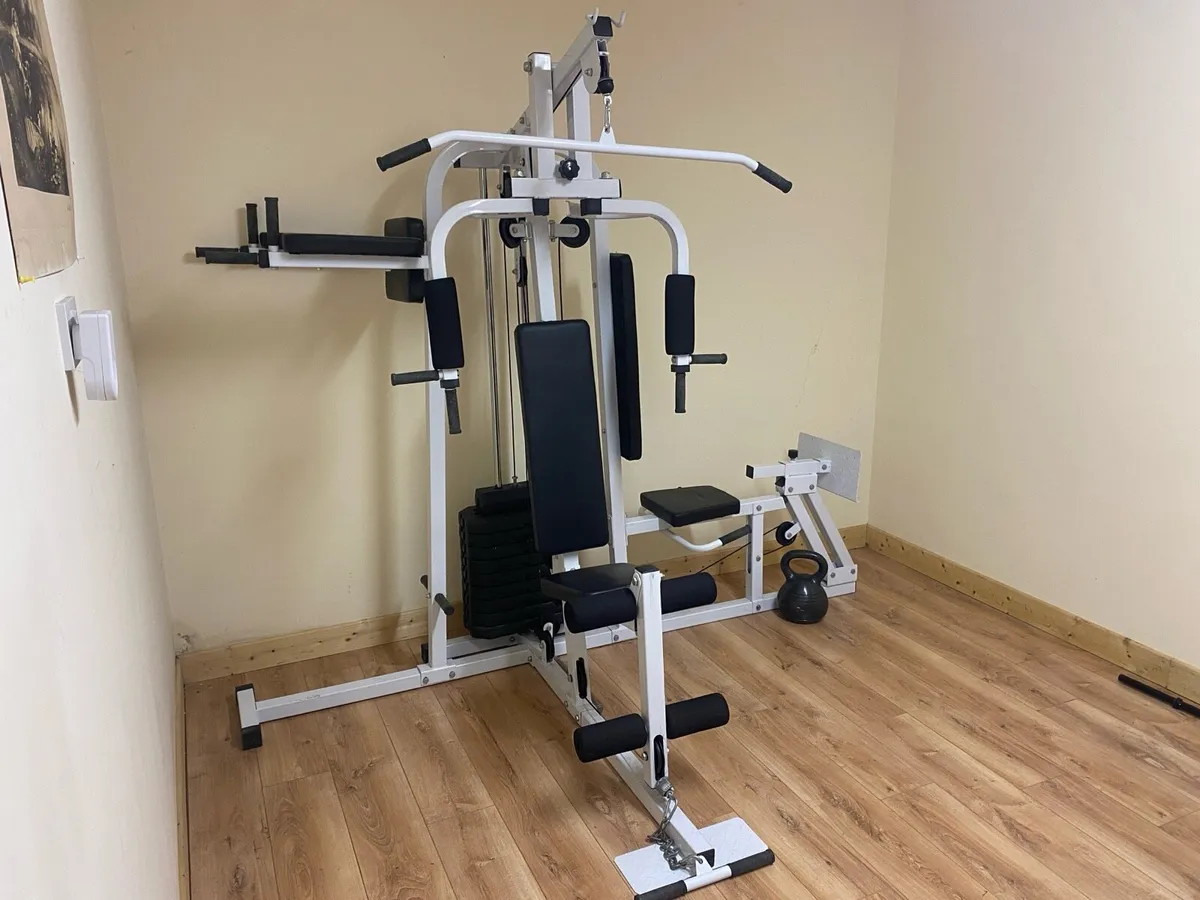 Home multi-gym - Image 1