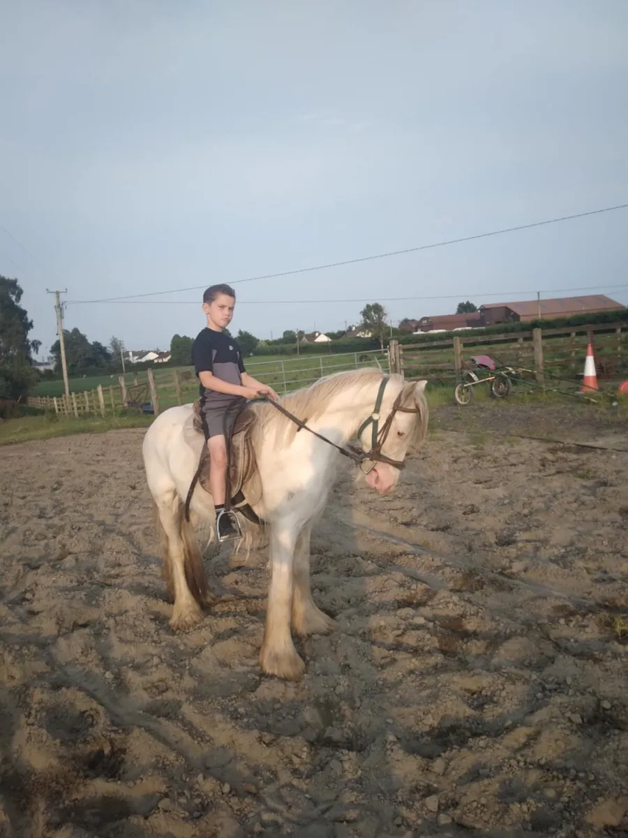 Child’s  Pony - Image 3