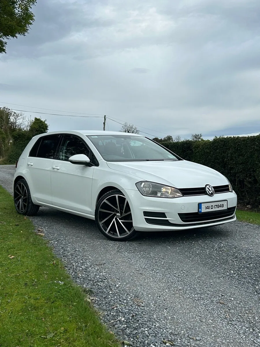 Volkswagen Golf 1.6 Tdi - Image 1