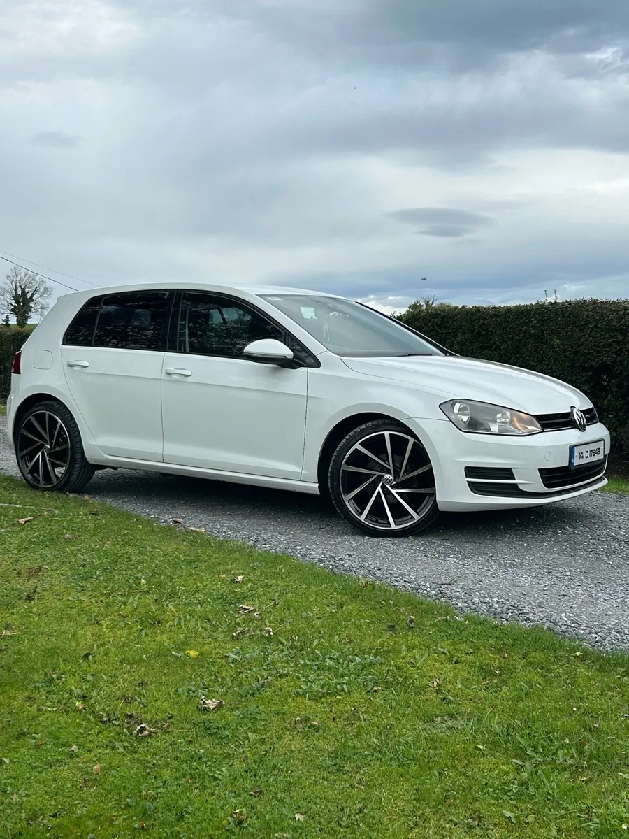 Volkswagen Golf 1.6 Tdi - Image 2
