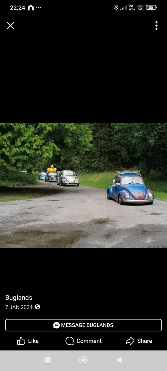 VW beetle - Image 2