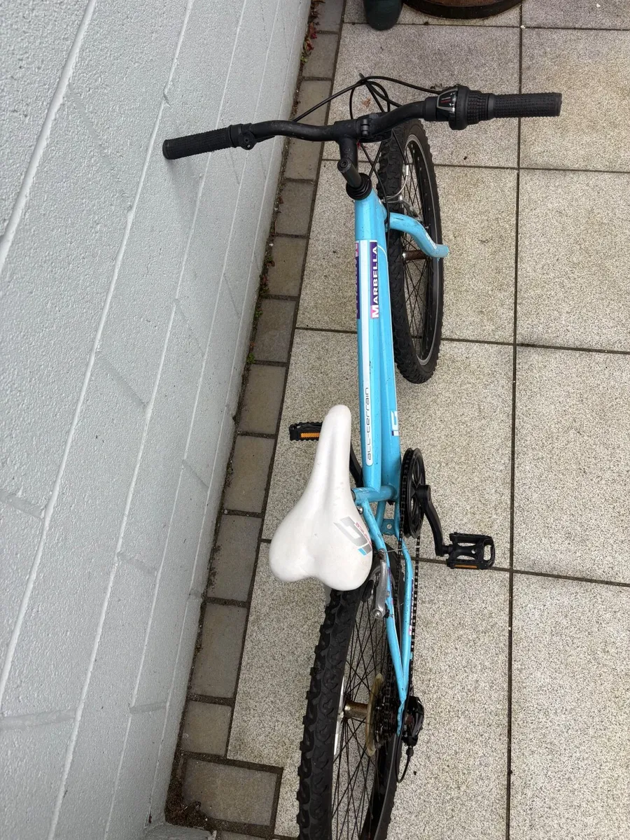 Bike - Image 2