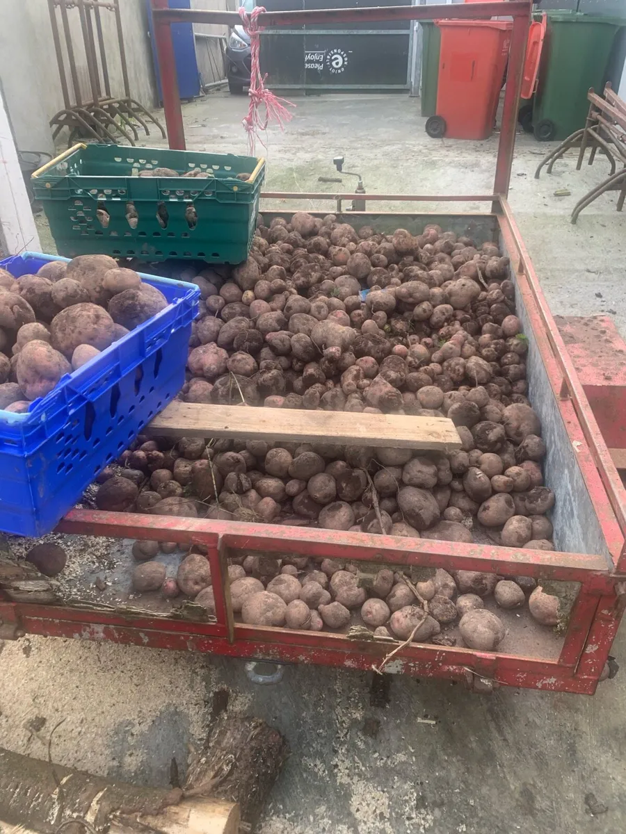 Potatoes - Image 2