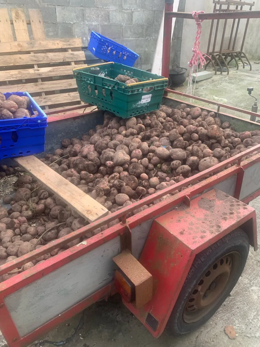 Potatoes - Image 3