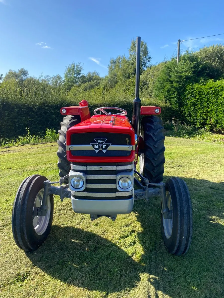 Massey Ferguson 135 - Image 3