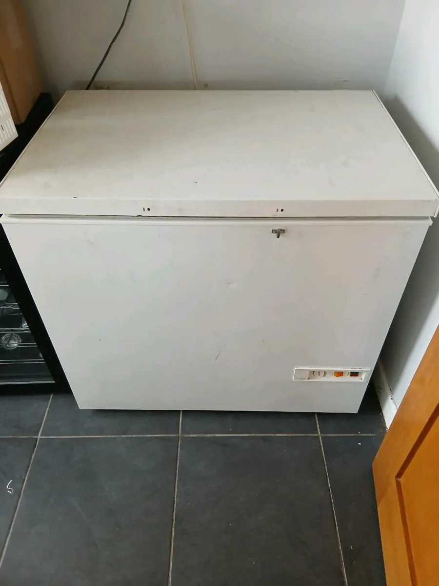 Freezer - Image 1