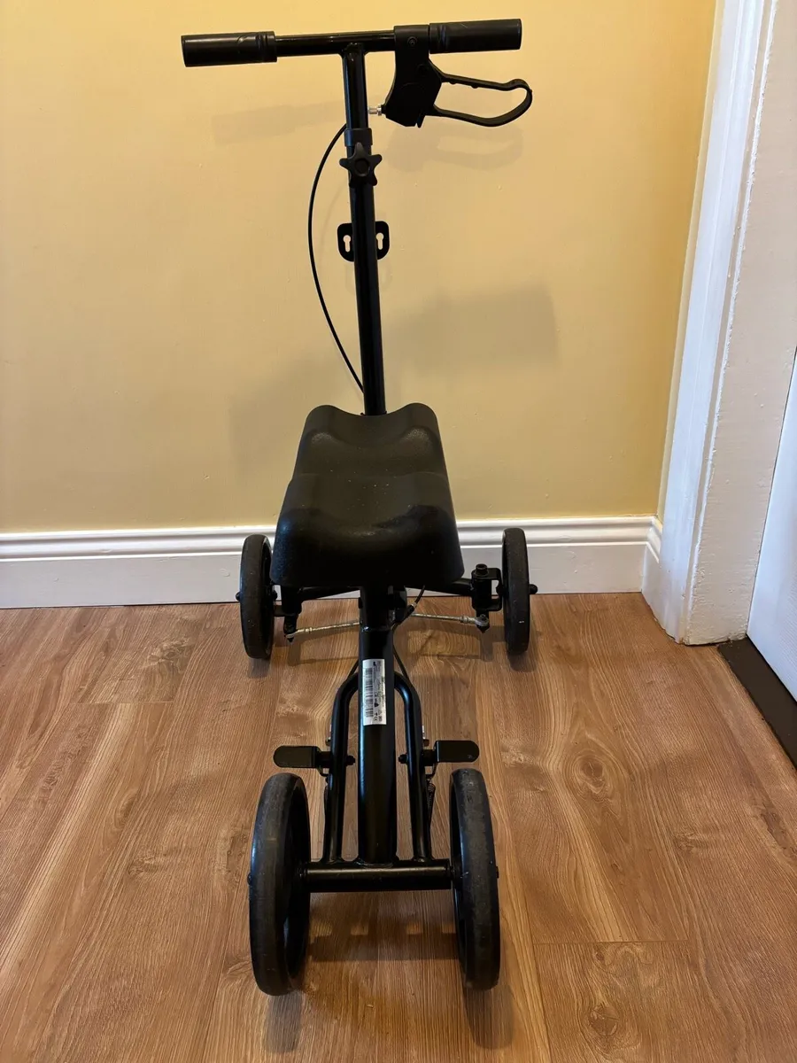 Knee Bycycle - Image 2