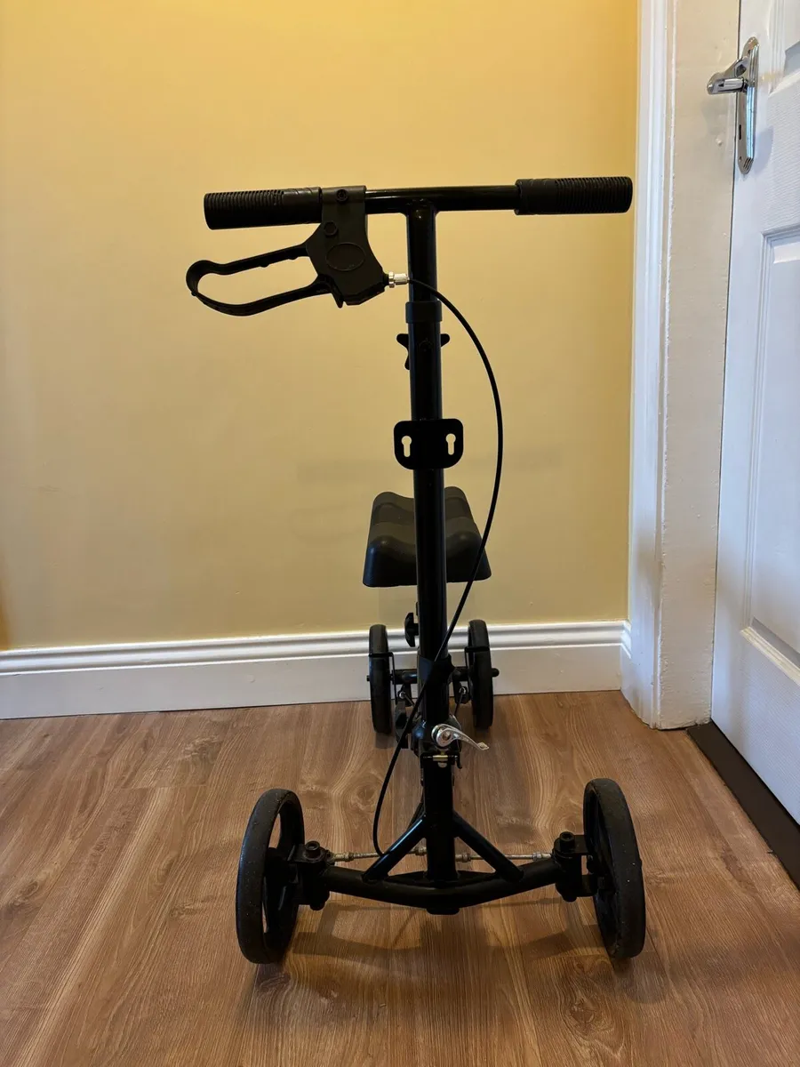 Knee Bycycle - Image 4