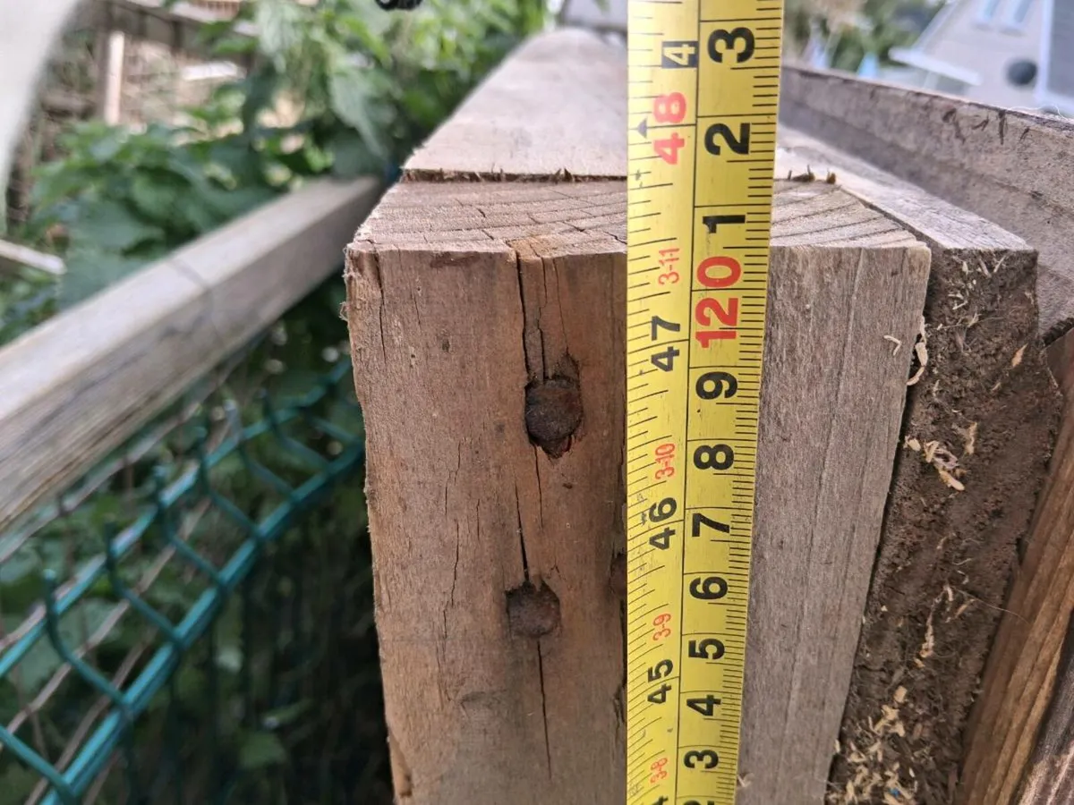 Shed door timber - Image 2