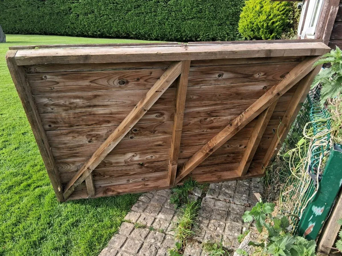 Shed door timber - Image 4