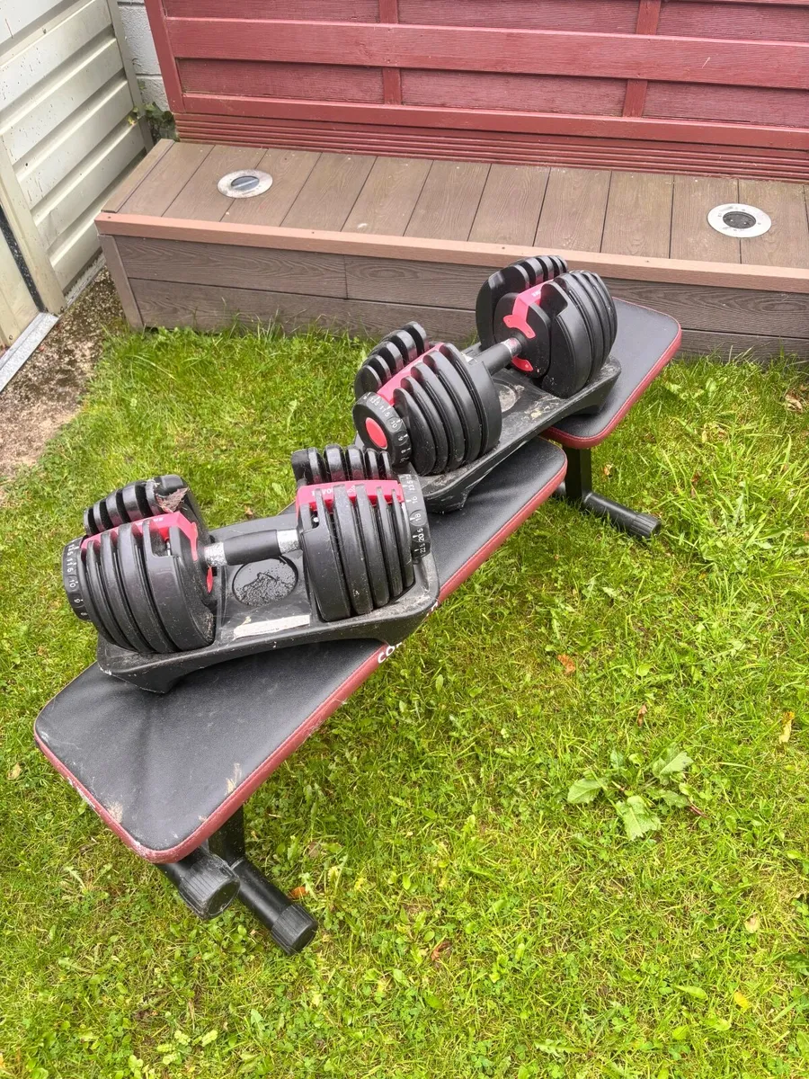 Weights - Image 2