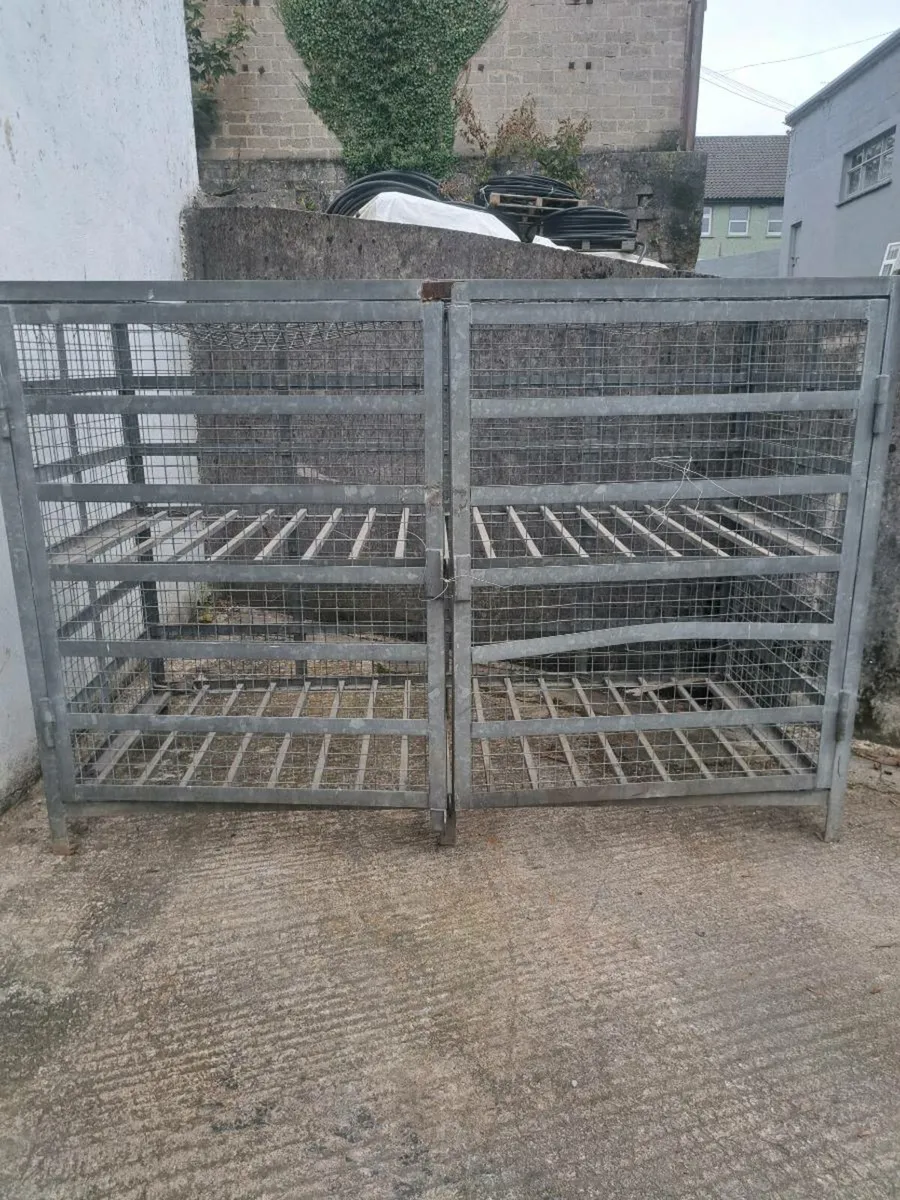 CAGE - Image 2