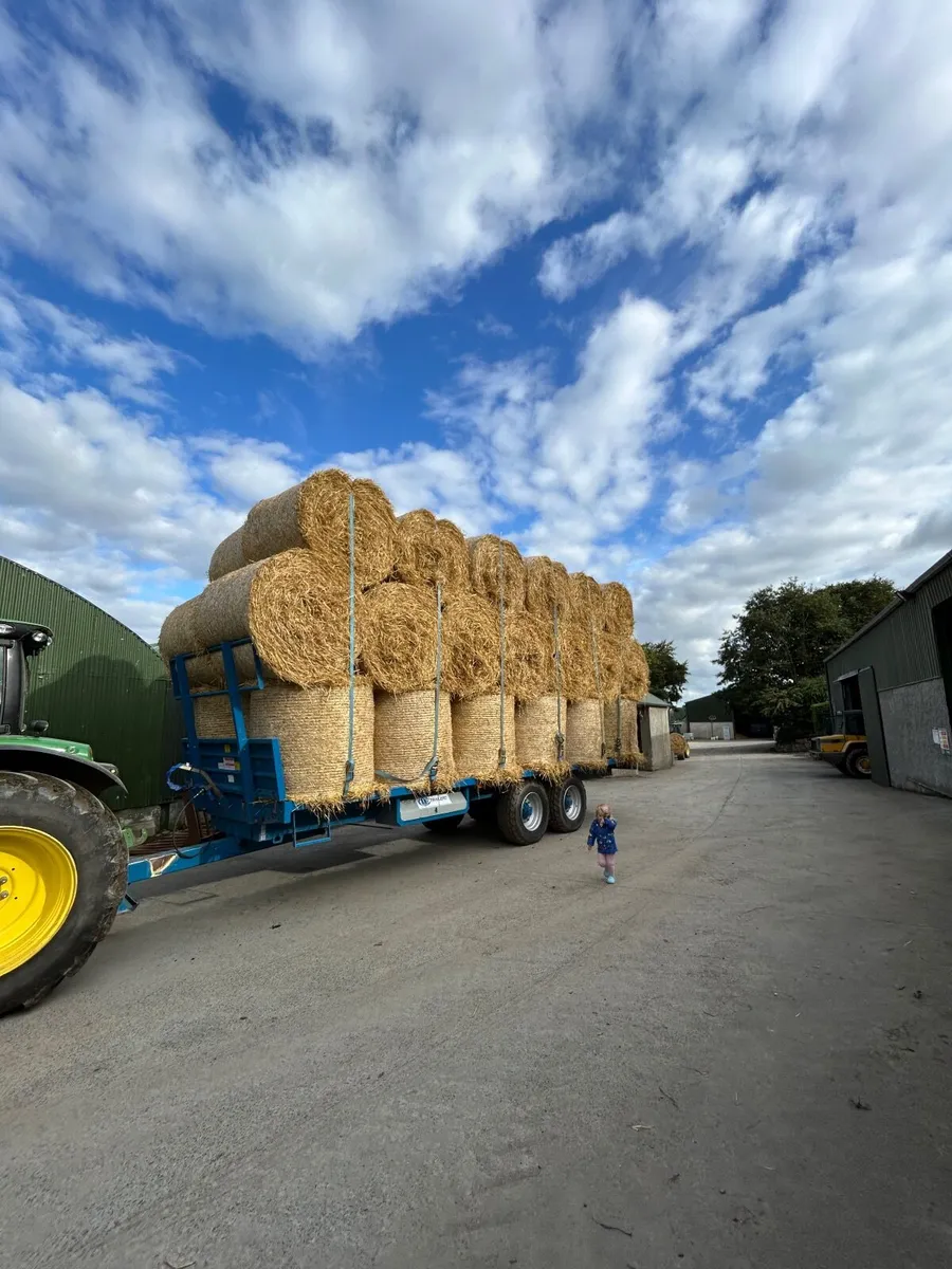 Barley and wheat straw