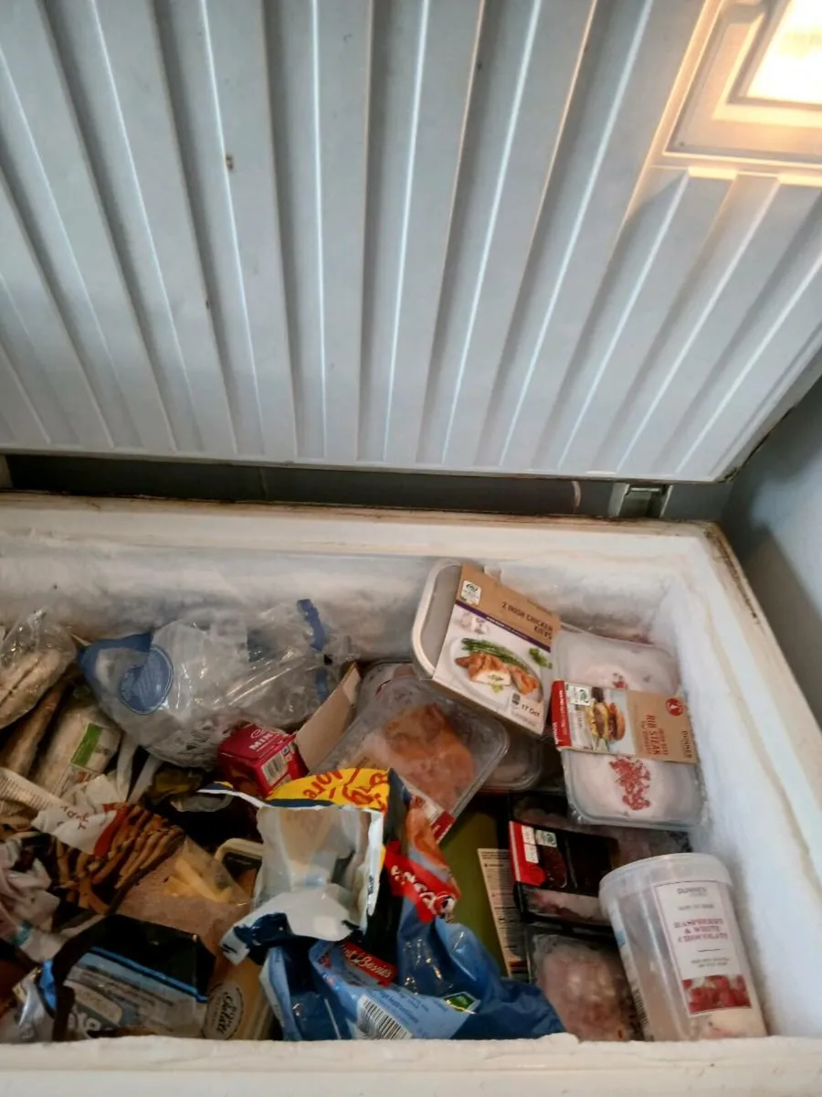 Freezer - Image 3