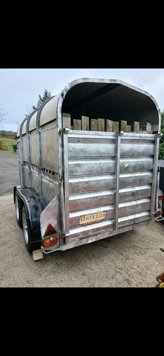 10 x 5 ft bateson trailer - Image 3