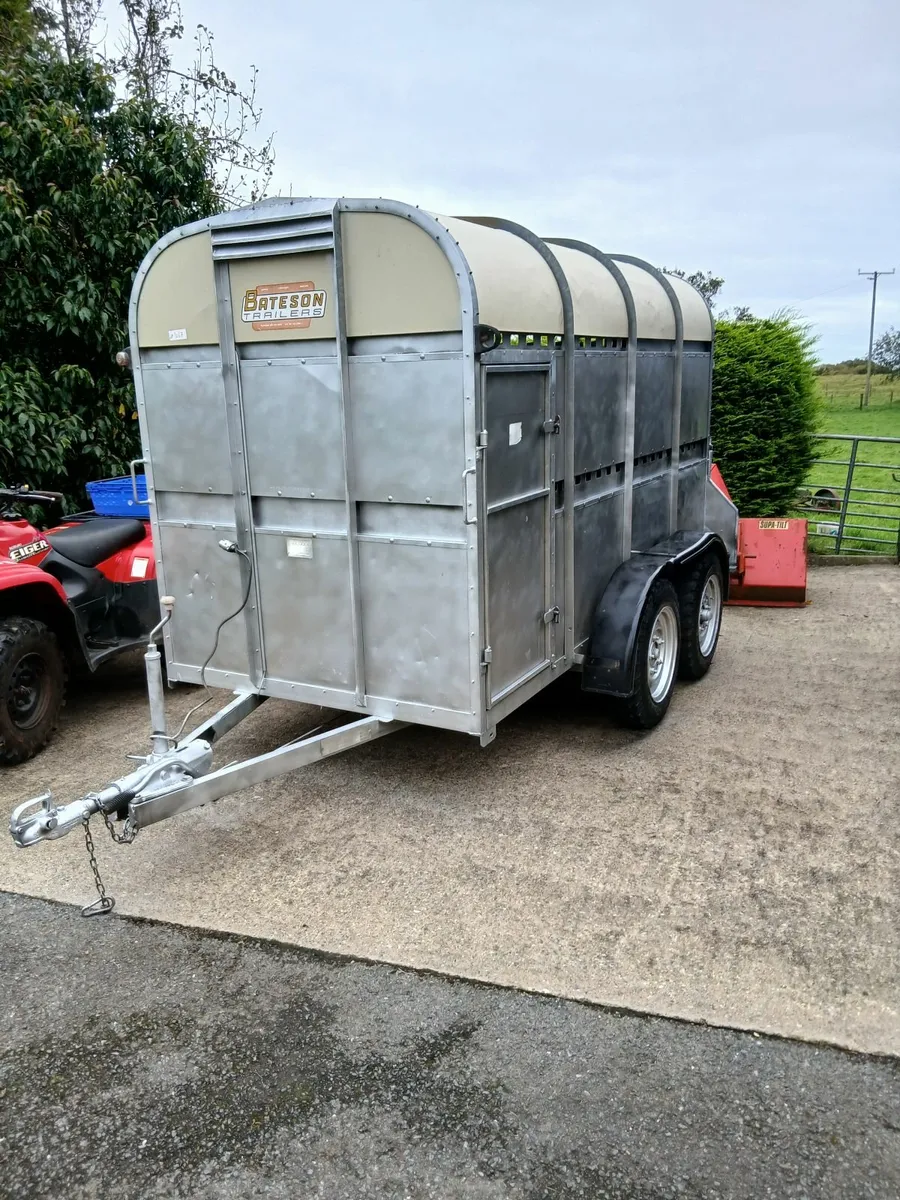 10 x 5 ft bateson trailer - Image 1