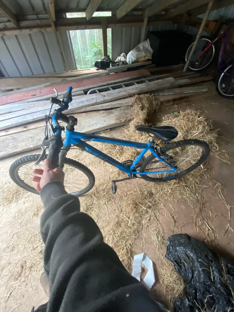Bike