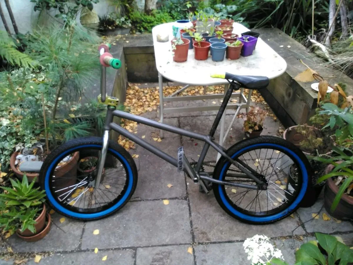 Custom Rasta BMX - Image 1