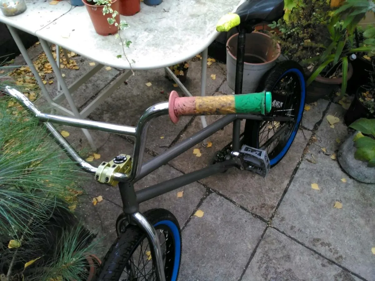 Custom Rasta BMX - Image 2