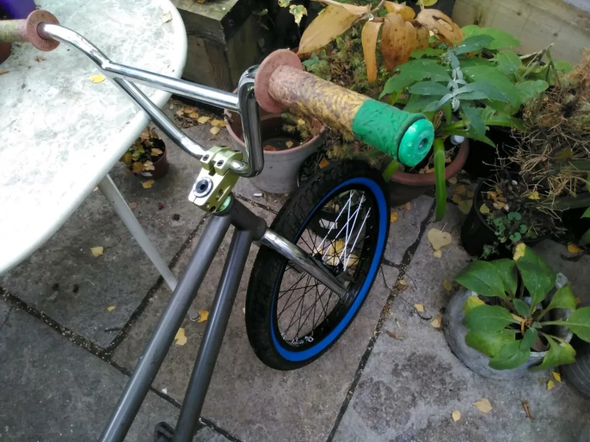 Custom Rasta BMX - Image 4