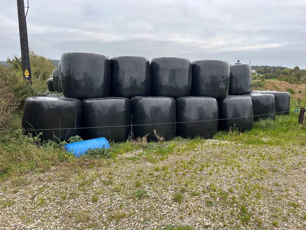 Silage bales