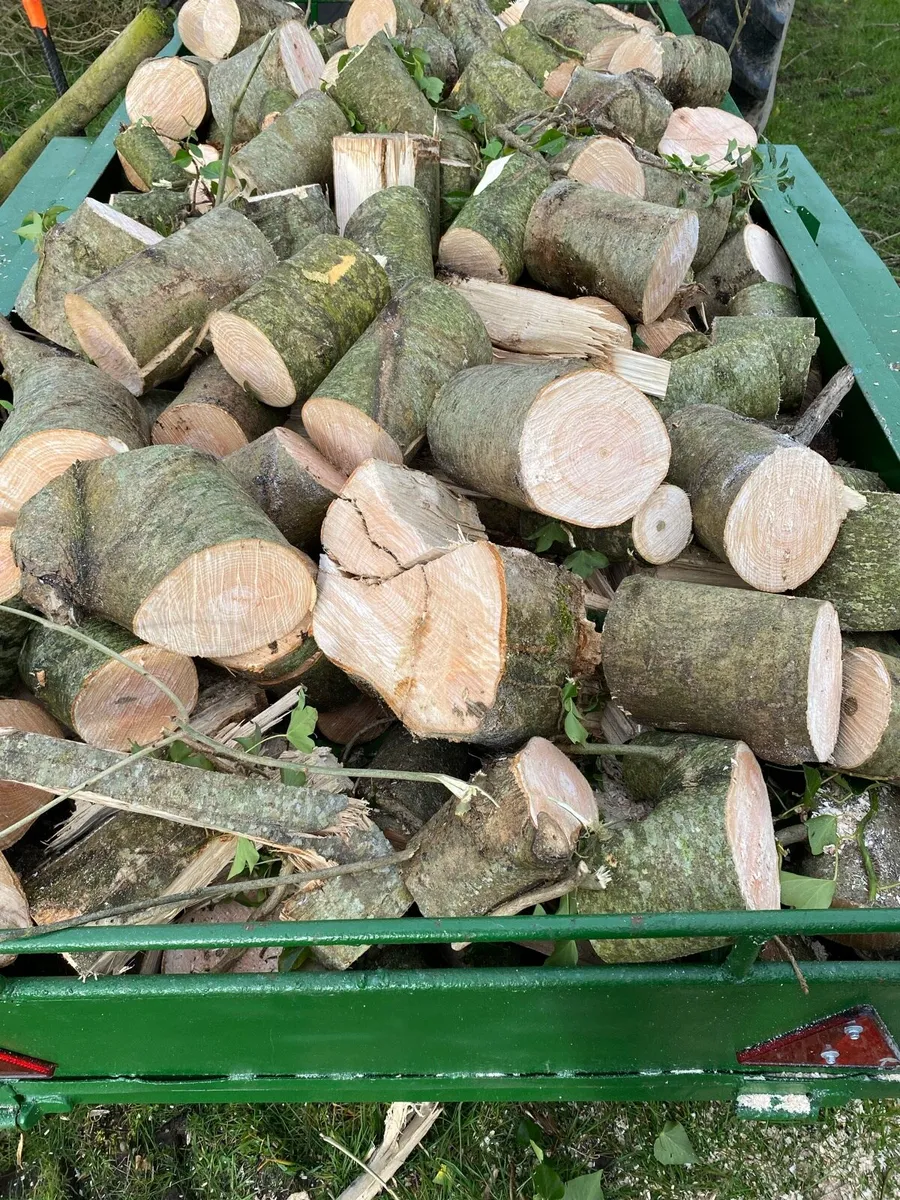 Timber
