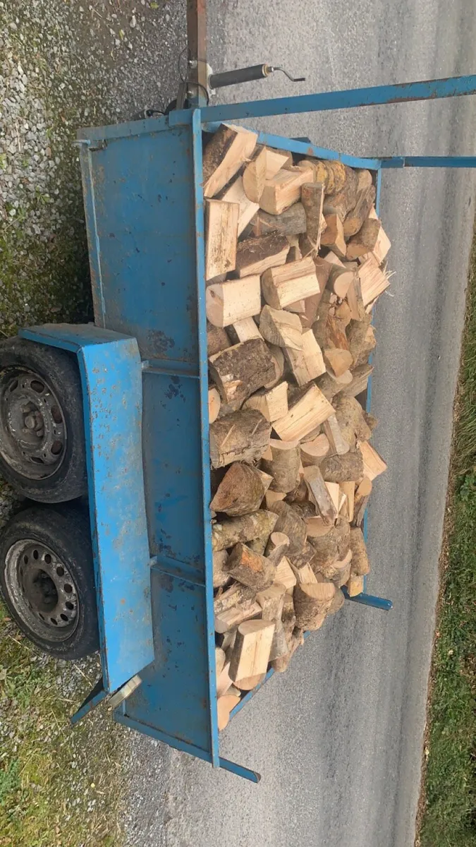 Firewood - Image 1