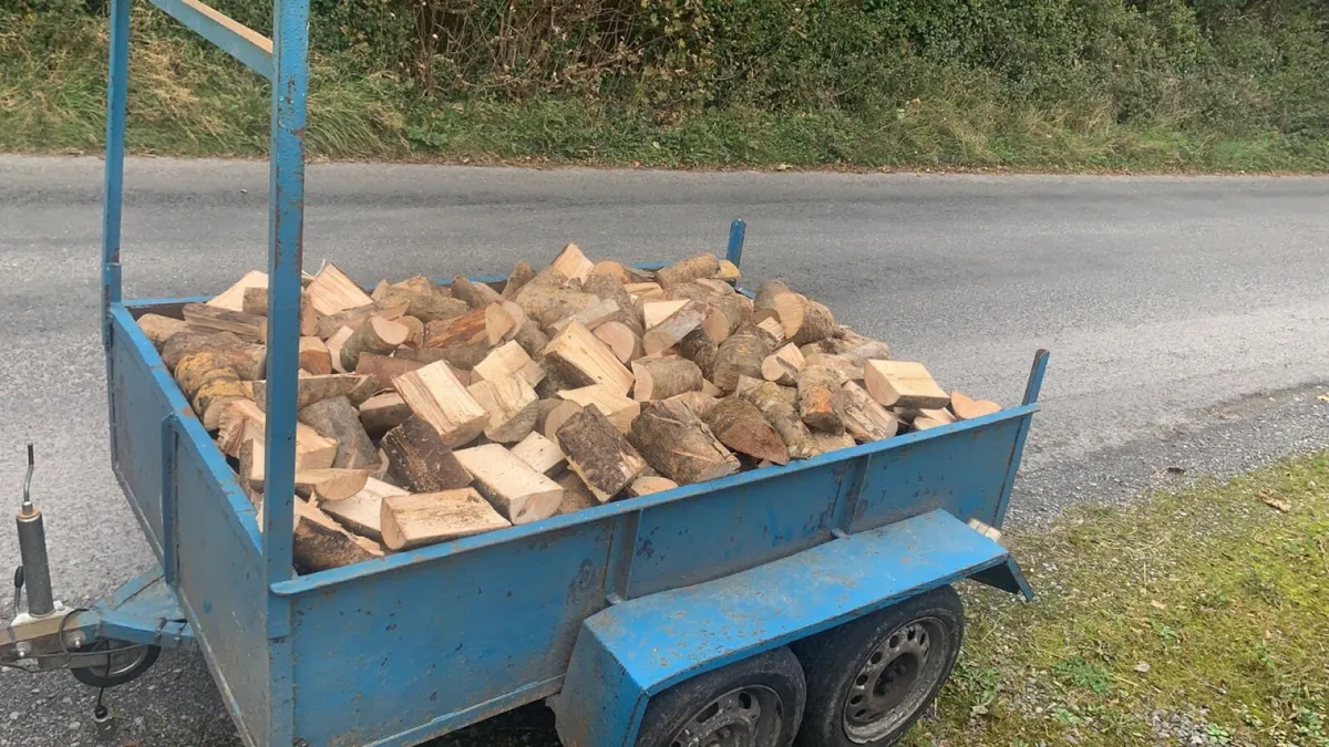 Firewood - Image 2
